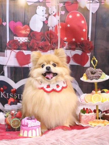 20250216梛都ちゃん